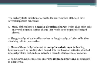 The carbohydrate moieties attached to the outer surface of the cell have
several important functions:
1. Many of them have a negative electrical charge, which gives most cells
an overall negative surface charge that repels other negatively charged
objects.
2. The glycocalyx of some cells attaches to the glycocalyx of other cells, thus
attaching cells to one another.
3. Many of the carbohydrates act as receptor substances for binding
hormones, such as insulin; when bound, this combination activates attached
internal proteins that, in turn, activate a cascade of intracellular enzymes.
4. Some carbohydrate moieties enter into immune reactions, as discussed
in Chapter 35.
 