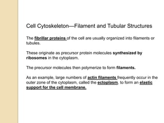 cytoplasm and its organelles | PPTX