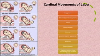 Physiology & Mechanism of Normal Labour.pptx