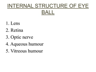 INTERNAL STRUCTURE OF EYE
BALL
1. Lens
2. Retina
3. Optic nerve
4. Aqueous humour
5. Vitreous humour
 