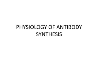 PHYSIOLOGY OF ANTIBODY
SYNTHESIS
 