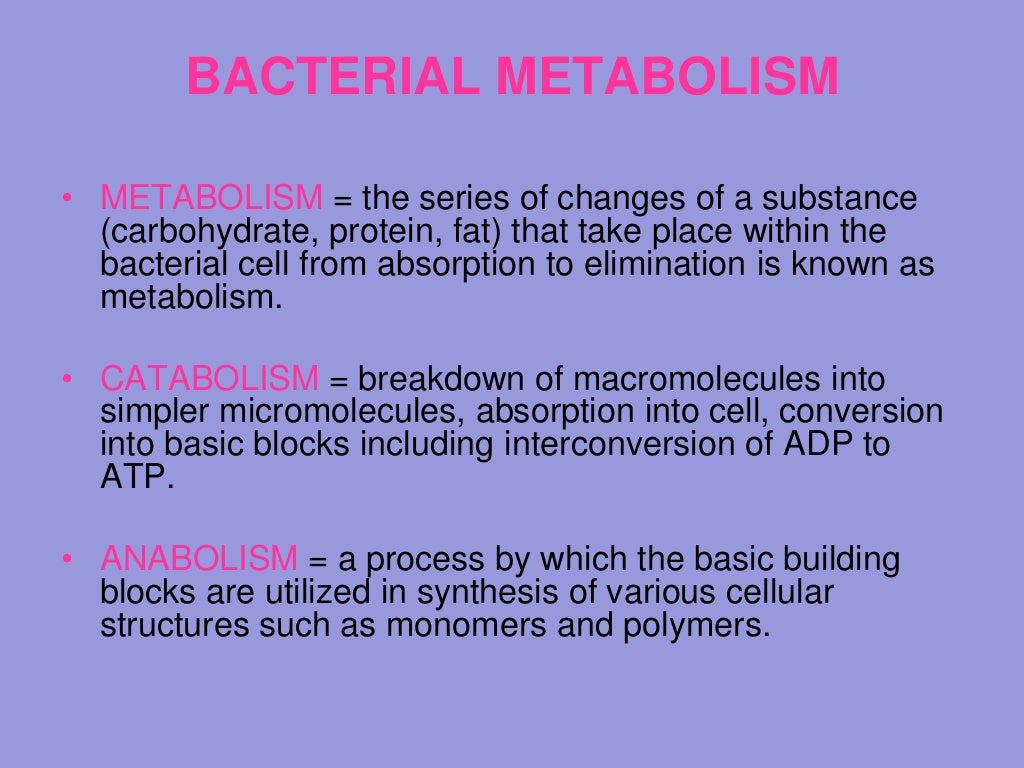 Physiology of bacteria