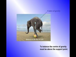 Structure Involved With Balance Physiology of balance and its applied importancw | PPTX