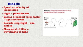 Physiology of Behaviour.pptx