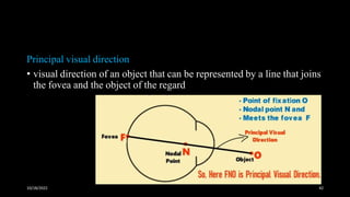 Binocular vision | PDF