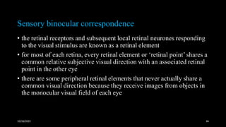 Binocular vision | PDF