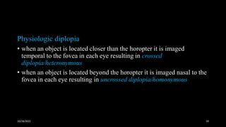 Binocular vision | PDF