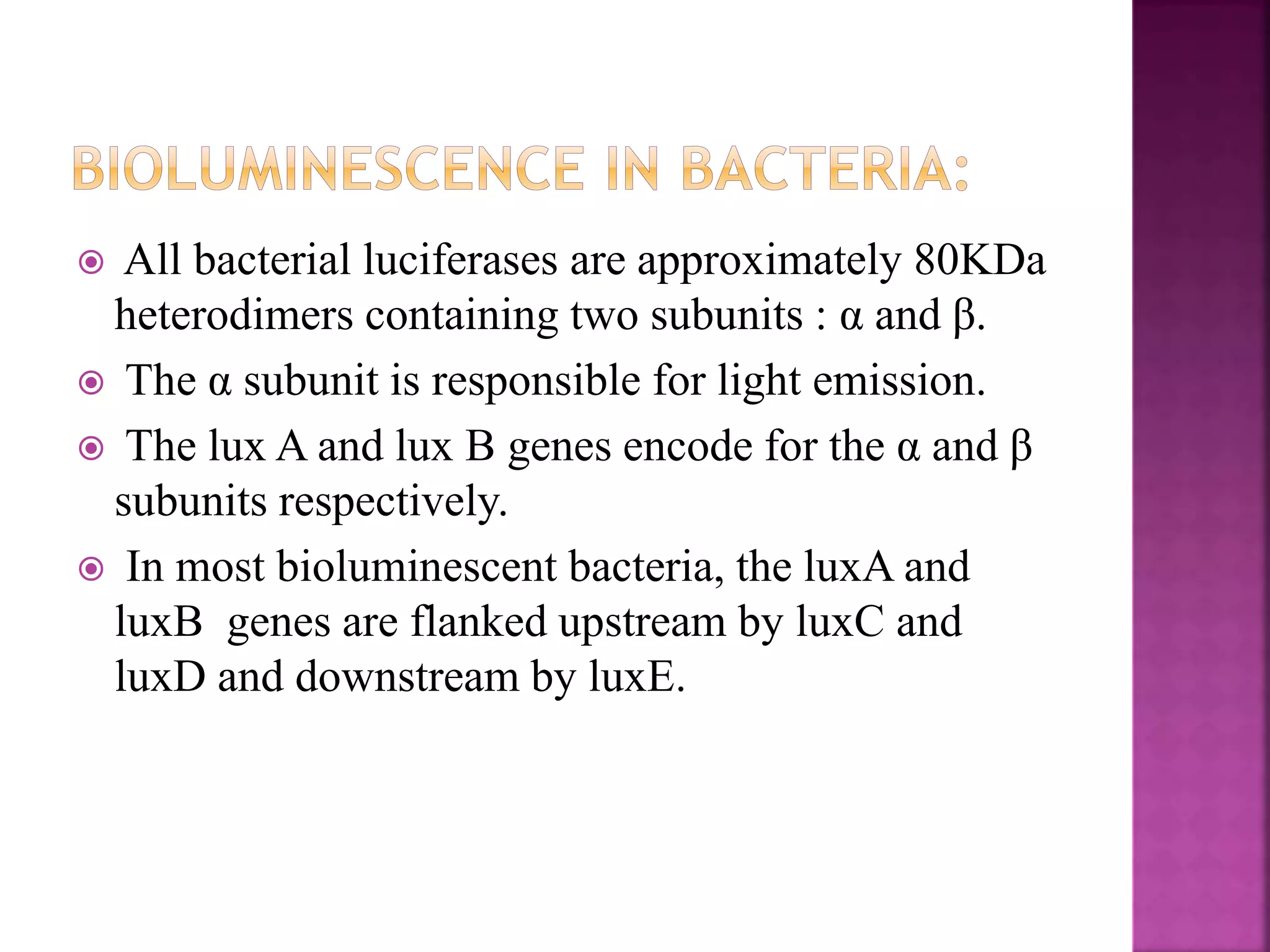 Physiology of bioluminescence | PPTX