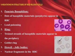 Poison Strands Physiology of blood | PPTX