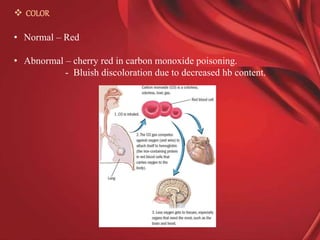 Physiology of blood | PPTX