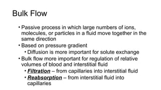 Bulk Flow Example Physiology of Blood Circulation (cardiovascular physiology).pptx