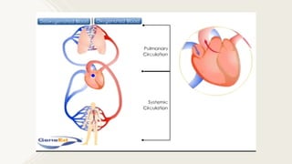 physiology of cardiac muscle by ahs.pptx