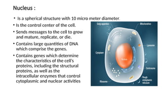 Physiology of Cell and Intercellular Junctions.pptx