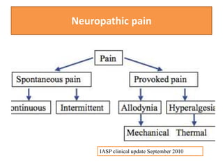 Neuropathic pain
IASP clinical update September 2010
 