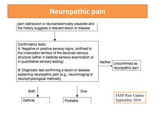 Neuropathic pain
IASP Pain Update
September 2010
 