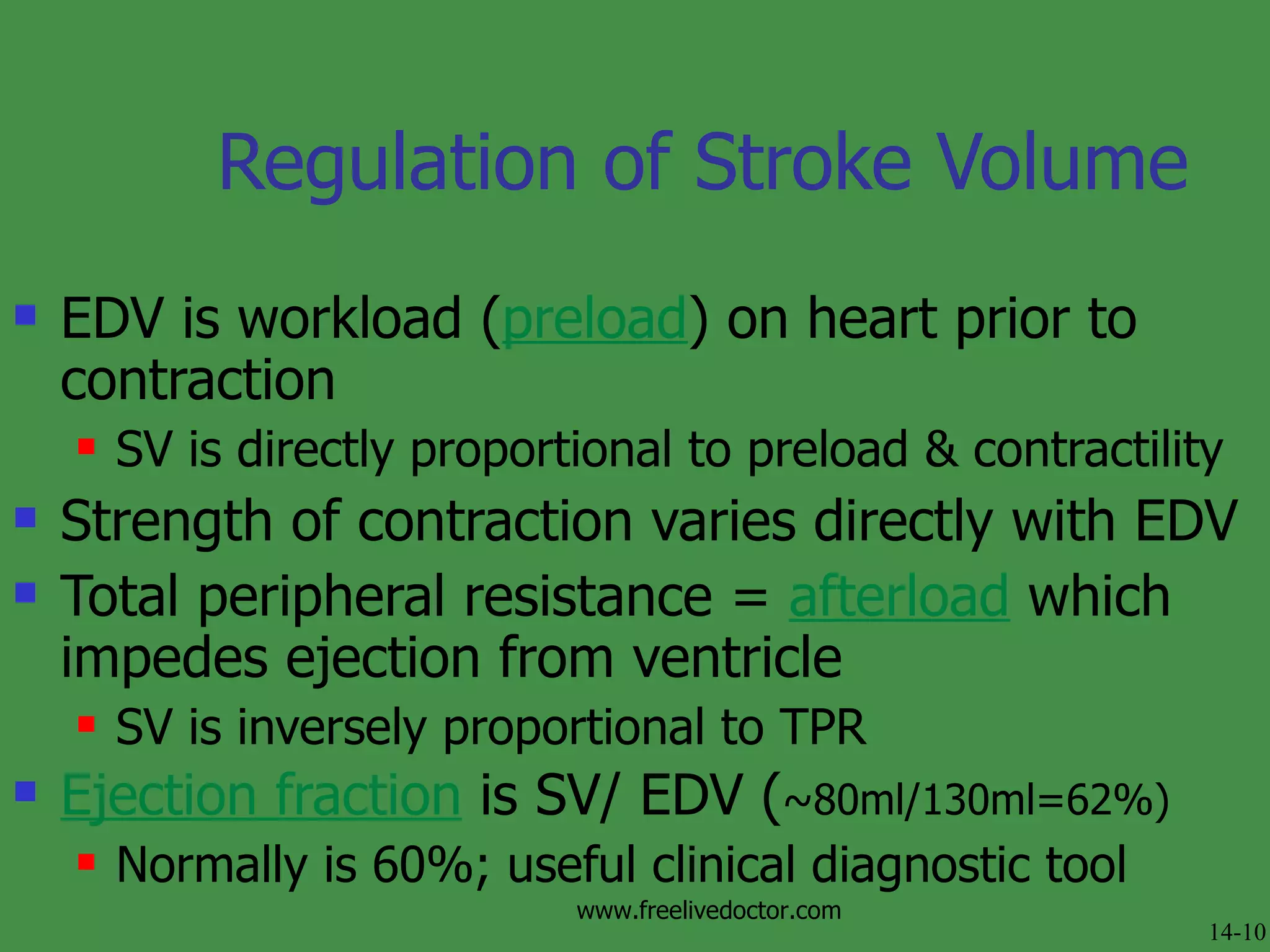 EDV is workload ( preload ) on heart prior to contraction SV is directly proportional to preload & contractility Strength of contraction varies directly with EDV Total peripheral resistance =  afterload  which impedes ejection from ventricle SV is inversely proportional to TPR Ejection fraction  is SV/ EDV ( ~80ml/130ml=62%) Normally is 60%; useful clinical diagnostic tool Regulation of Stroke Volume 14-10 www.freelivedoctor.com 