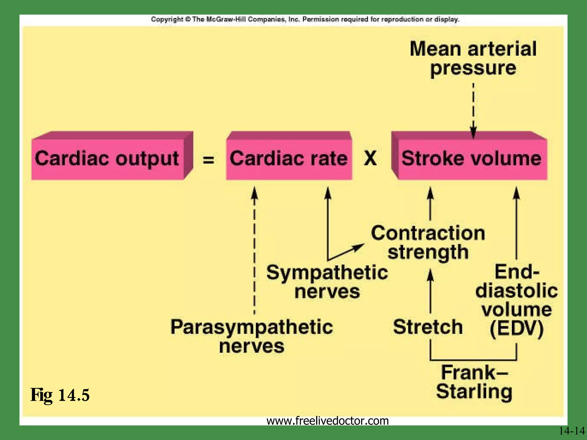 Fig 14.5 14-14 www.freelivedoctor.com 