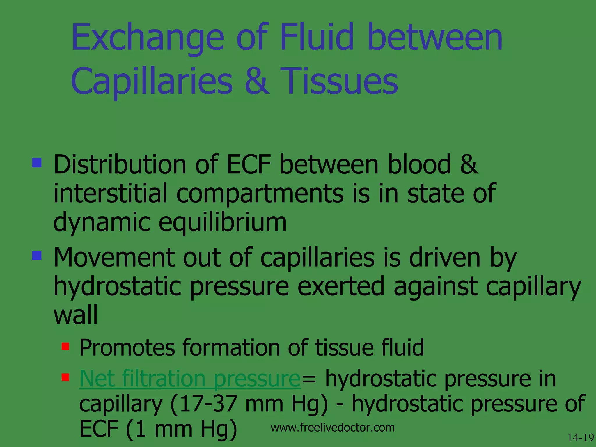 Exchange of Fluid between Capillaries & Tissues Distribution of ECF between blood & interstitial compartments is in state of dynamic equilibrium Movement out of capillaries is driven by hydrostatic pressure exerted against capillary wall Promotes formation of tissue fluid  Net filtration pressure = hydrostatic pressure in capillary (17-37 mm Hg) - hydrostatic pressure of ECF (1 mm Hg) 14-19 www.freelivedoctor.com 