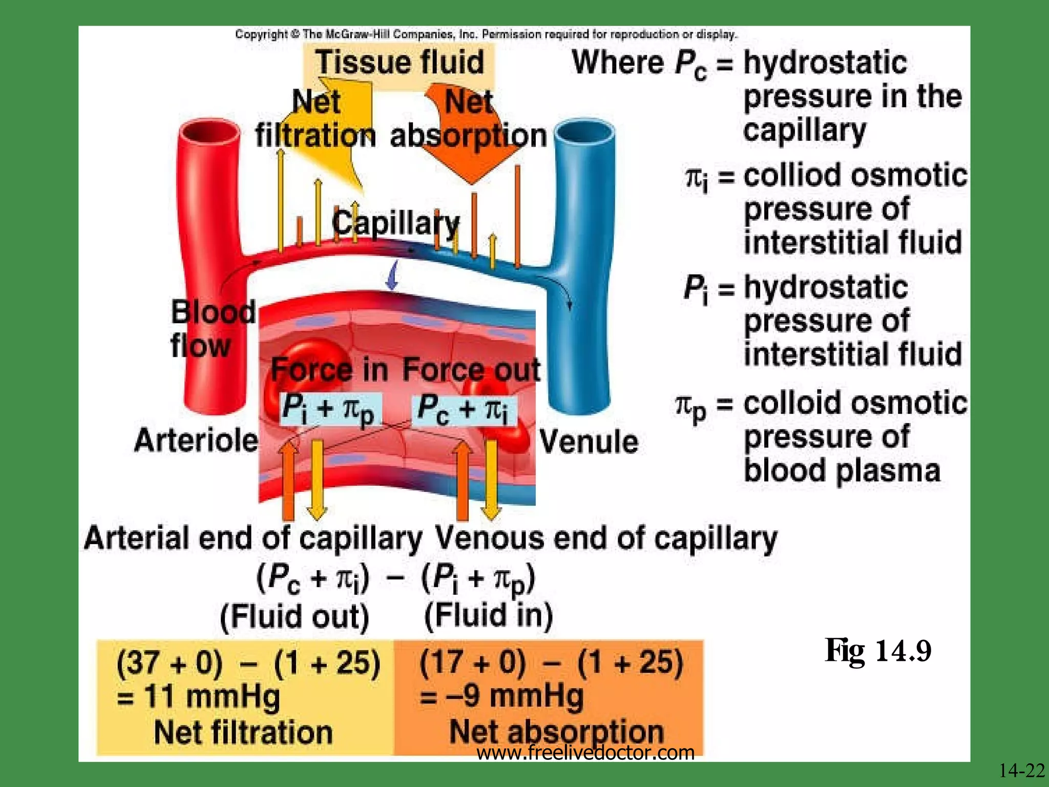Fig 14.9 14-22 www.freelivedoctor.com 