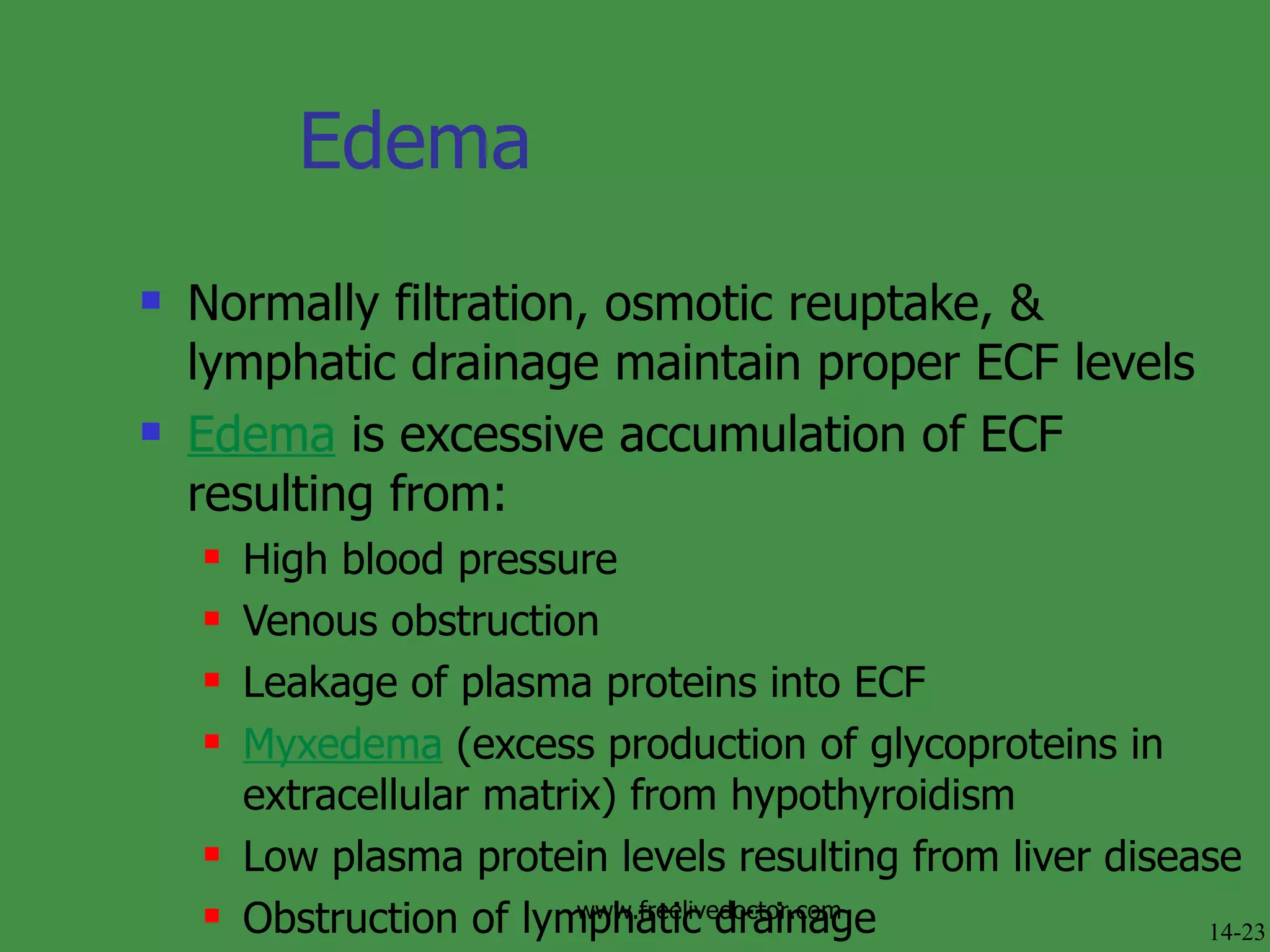 Edema Normally filtration, osmotic reuptake, & lymphatic drainage maintain proper ECF levels Edema  is excessive accumulation of ECF resulting from: High blood pressure Venous obstruction Leakage of plasma proteins into ECF Myxedema  (excess production of glycoproteins in extracellular matrix) from hypothyroidism Low plasma protein levels resulting from liver disease Obstruction of lymphatic drainage 14-23 www.freelivedoctor.com 