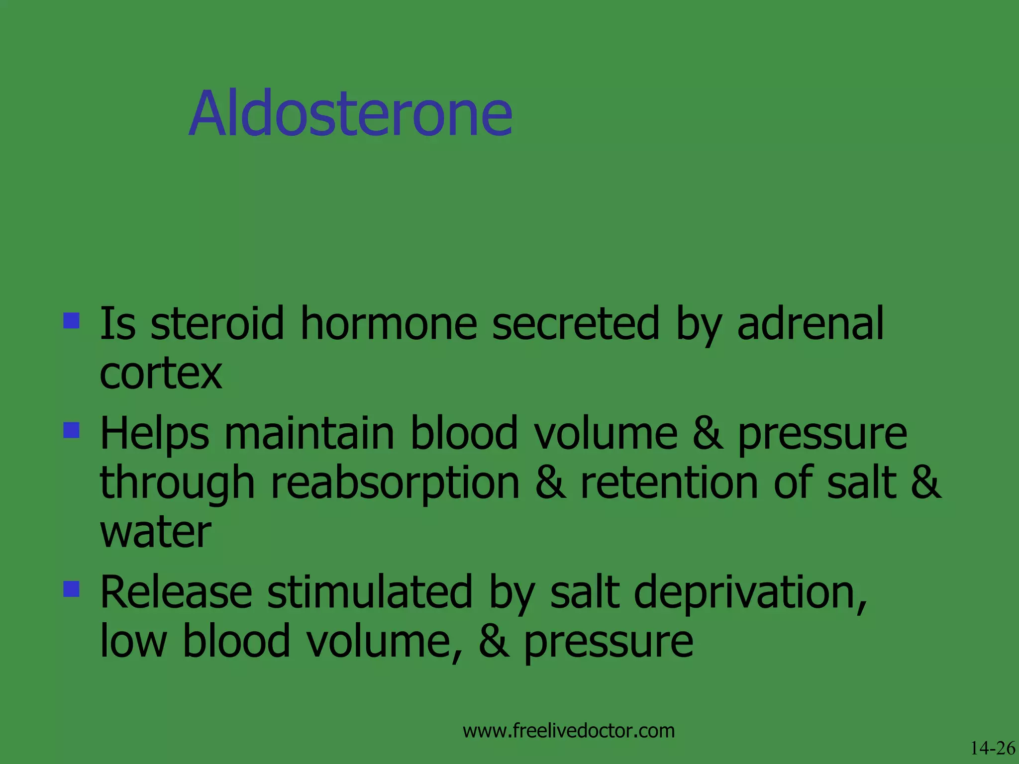 Aldosterone Is steroid hormone secreted by adrenal cortex Helps maintain blood volume & pressure through reabsorption & retention of salt & water Release stimulated by salt deprivation, low blood volume, & pressure 14-26 www.freelivedoctor.com 