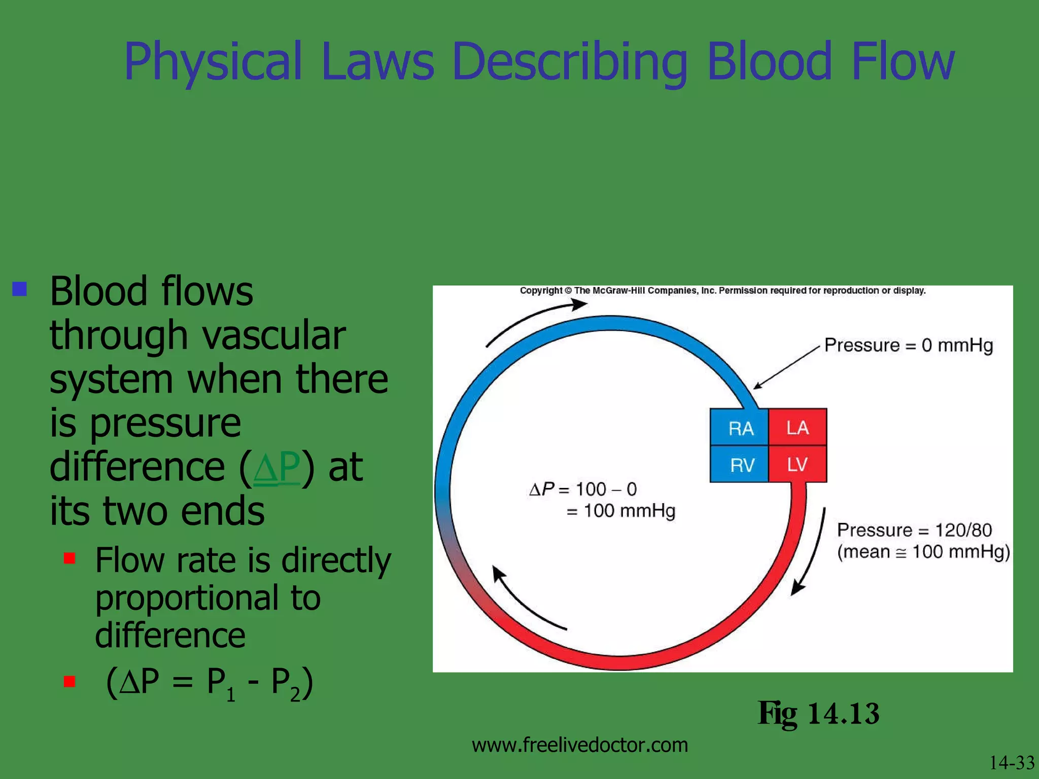 Physical Laws Describing Blood Flow Blood flows through vascular system when there is pressure difference (  P ) at its two ends  Flow rate is directly proportional to difference (  P = P 1  - P 2 ) Fig 14.13 14-33 www.freelivedoctor.com 