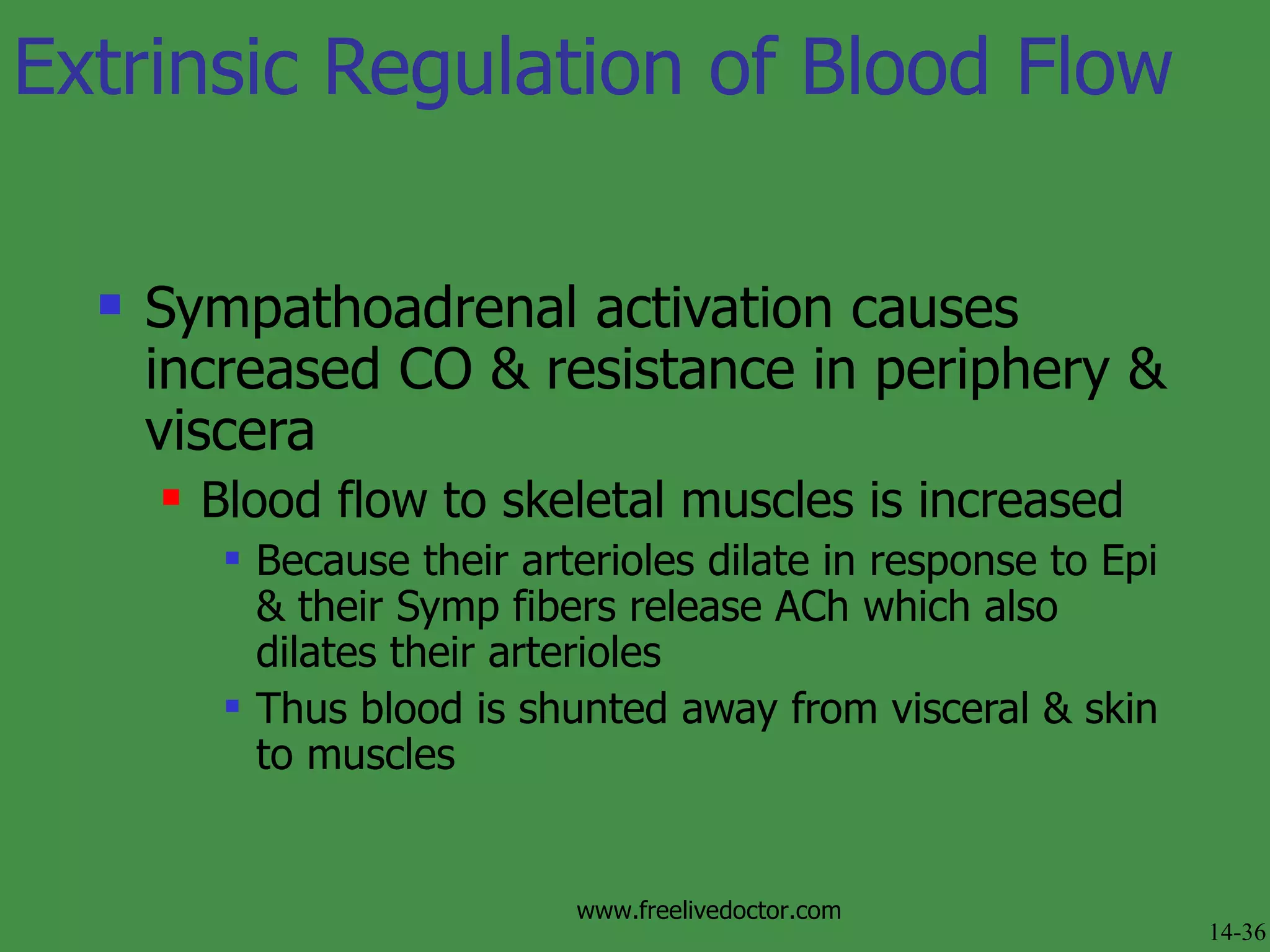 Sympathoadrenal activation causes increased CO & resistance in periphery & viscera Blood flow to skeletal muscles is increased Because their arterioles dilate in response to Epi & their Symp fibers release ACh which also dilates their arterioles  Thus blood is shunted away from visceral & skin to muscles Extrinsic Regulation of Blood Flow 14-36 www.freelivedoctor.com 