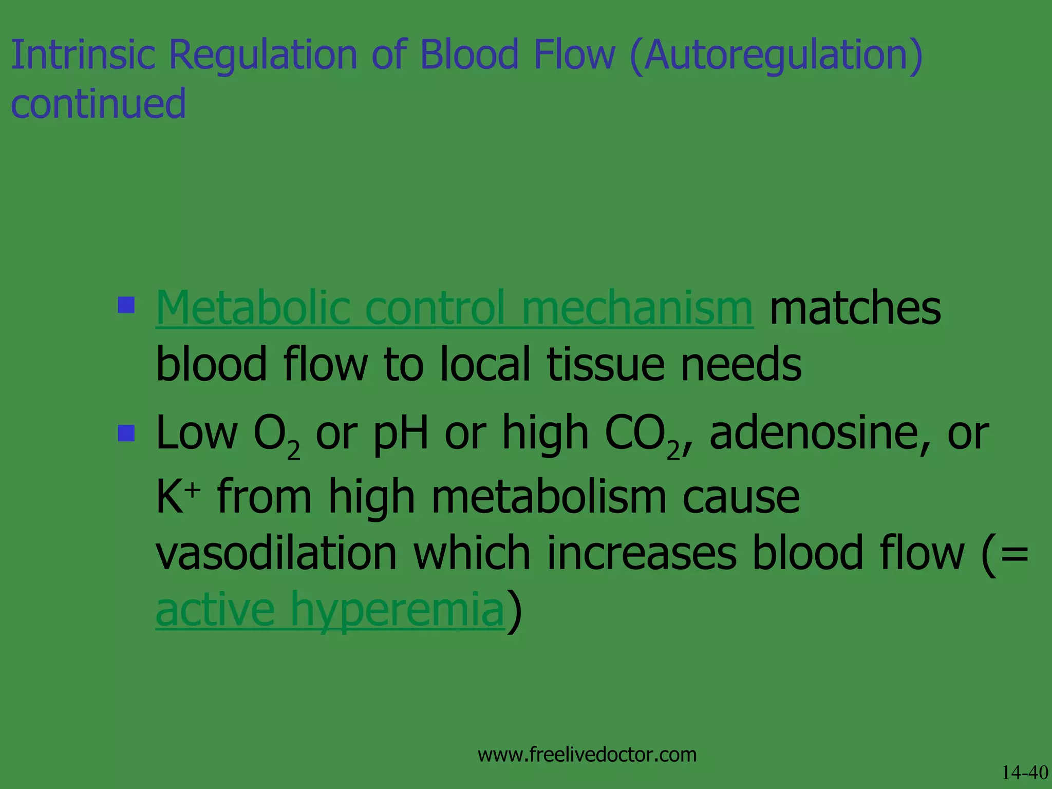 Metabolic control mechanism  matches blood flow to local tissue needs Low O 2  or pH or high CO 2 , adenosine, or K +  from high metabolism cause vasodilation which increases blood flow (=  active hyperemia ) Intrinsic Regulation of Blood Flow (Autoregulation) continued 14-40 www.freelivedoctor.com 