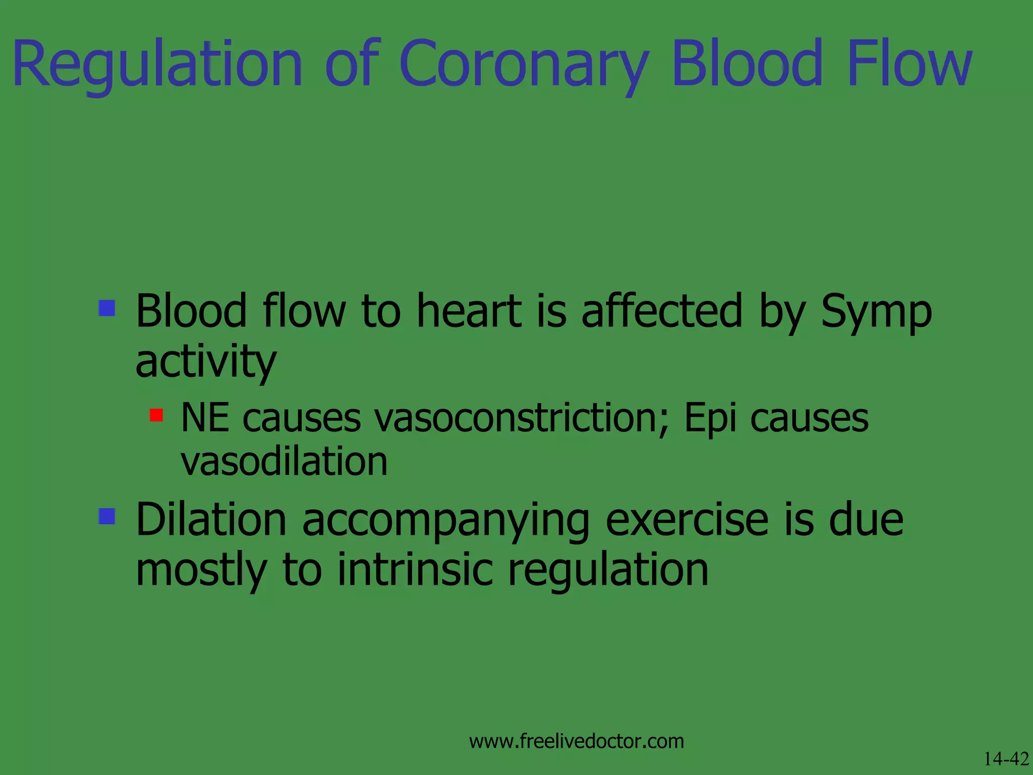 Regulation of Coronary Blood Flow Blood flow to heart is affected by Symp activity NE causes vasoconstriction; Epi causes vasodilation Dilation accompanying exercise is due mostly to intrinsic regulation 14-42 www.freelivedoctor.com 