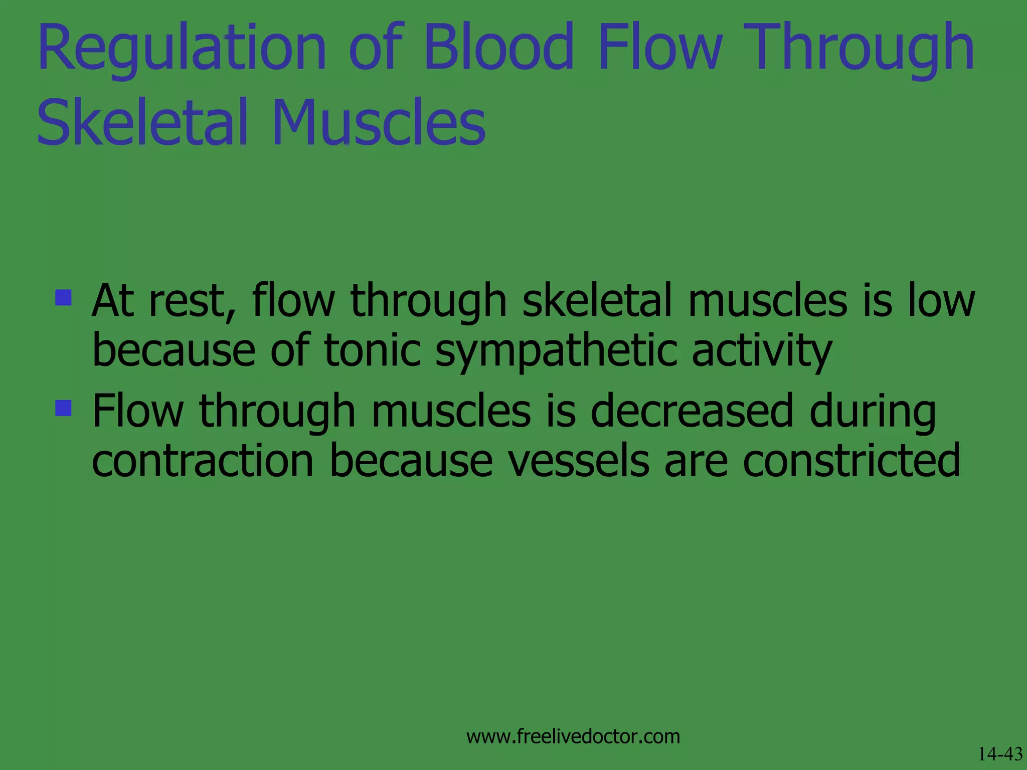 Regulation of Blood Flow Through Skeletal Muscles At rest, flow through skeletal muscles is low because of tonic sympathetic activity Flow through muscles is decreased during contraction because vessels are constricted 14-43 www.freelivedoctor.com 