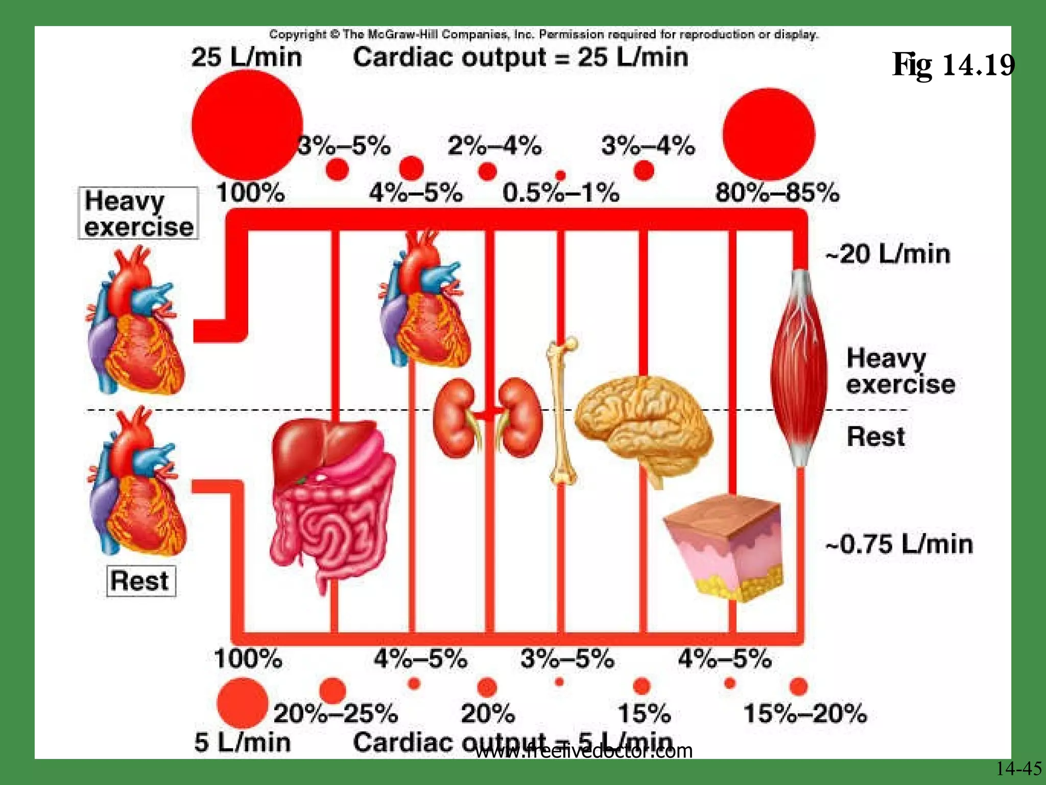 Fig 14.19 14-45 www.freelivedoctor.com 