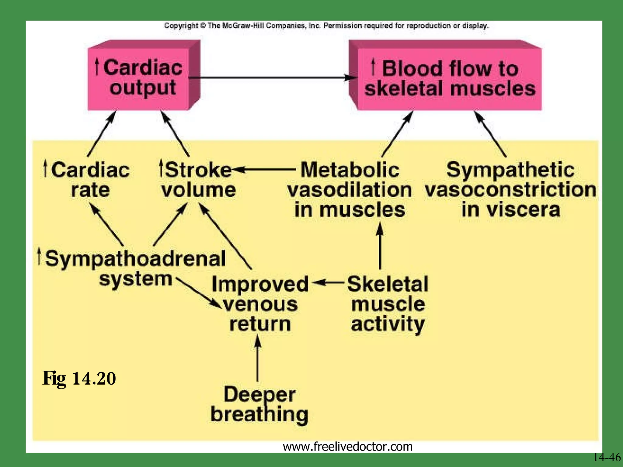 Fig 14.20 14-46 www.freelivedoctor.com 