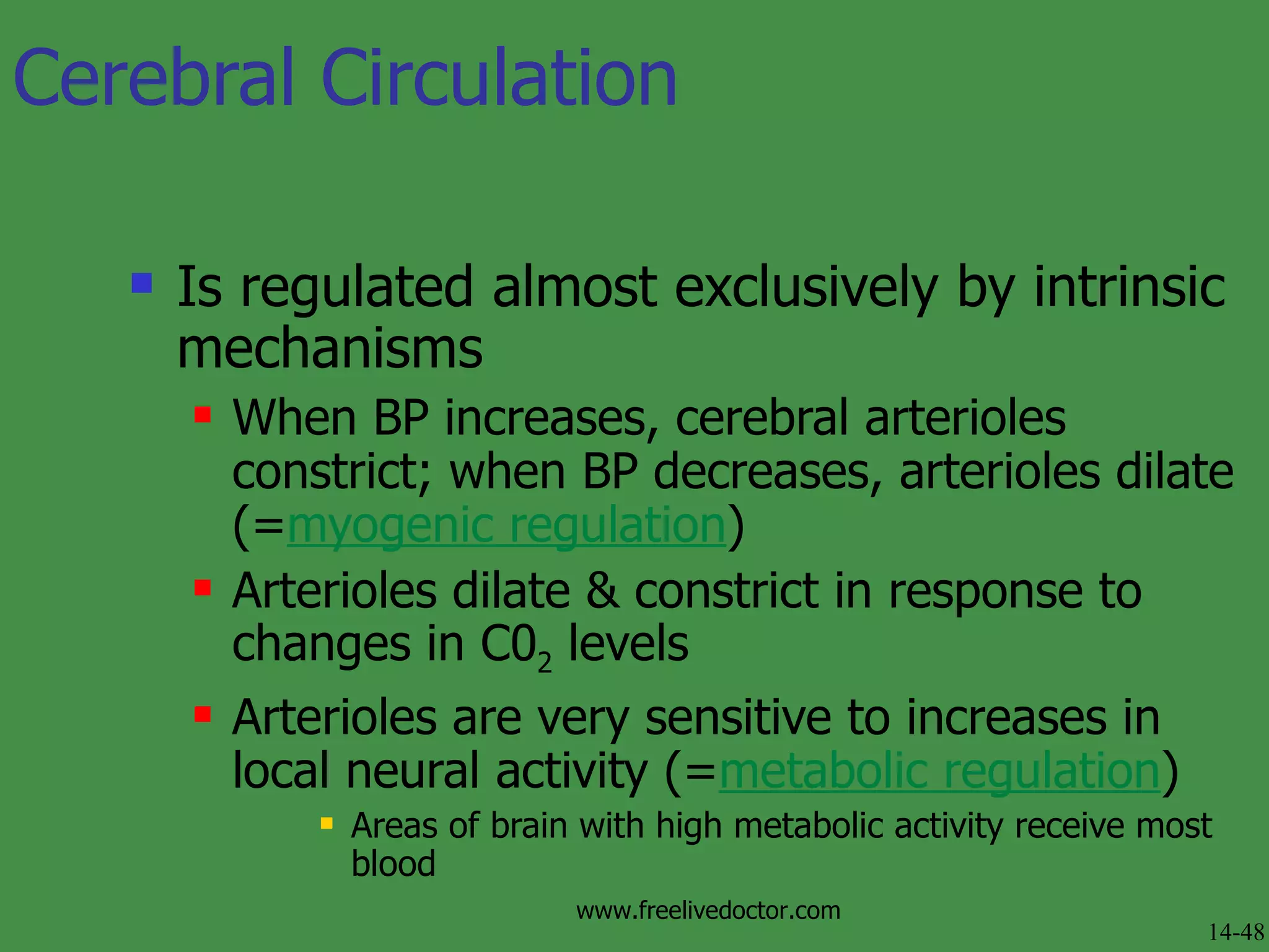 Cerebral Circulation Is regulated almost exclusively by intrinsic mechanisms When BP increases, cerebral arterioles constrict; when BP decreases, arterioles dilate (= myogenic regulation )  Arterioles dilate & constrict in response to changes in C0 2  levels Arterioles are very sensitive to increases in local neural activity (= metabolic regulation )  Areas of brain with high metabolic activity receive most blood 14-48 www.freelivedoctor.com 