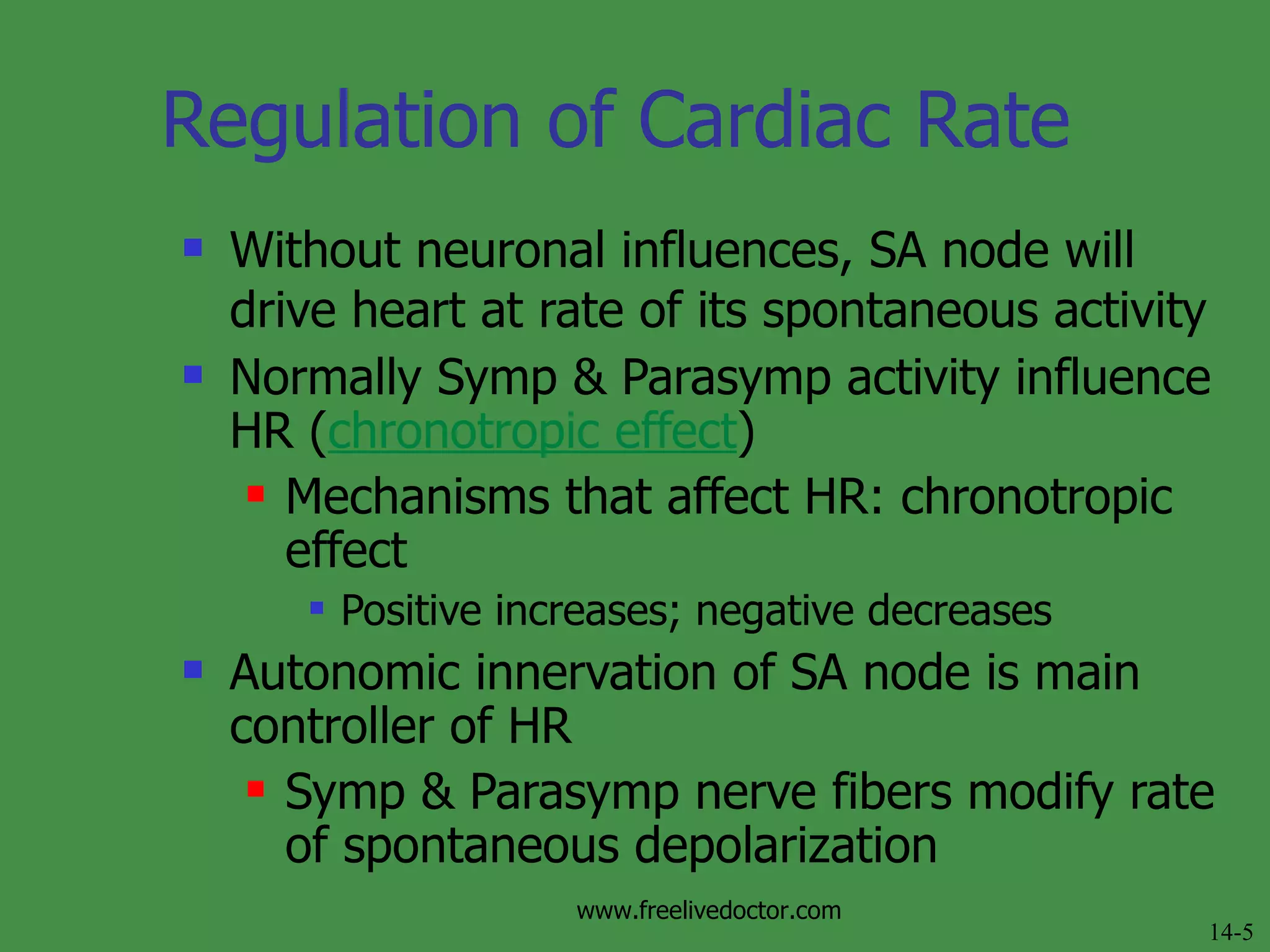 Regulation of Cardiac Rate Without neuronal influences, SA node will drive heart at rate of its spontaneous activity   Normally Symp & Parasymp activity influence HR ( chronotropic effect ) Mechanisms that affect HR: chronotropic effect Positive increases; negative decreases Autonomic innervation of SA node is main controller of HR Symp & Parasymp nerve fibers modify rate of spontaneous depolarization  14-5 www.freelivedoctor.com 