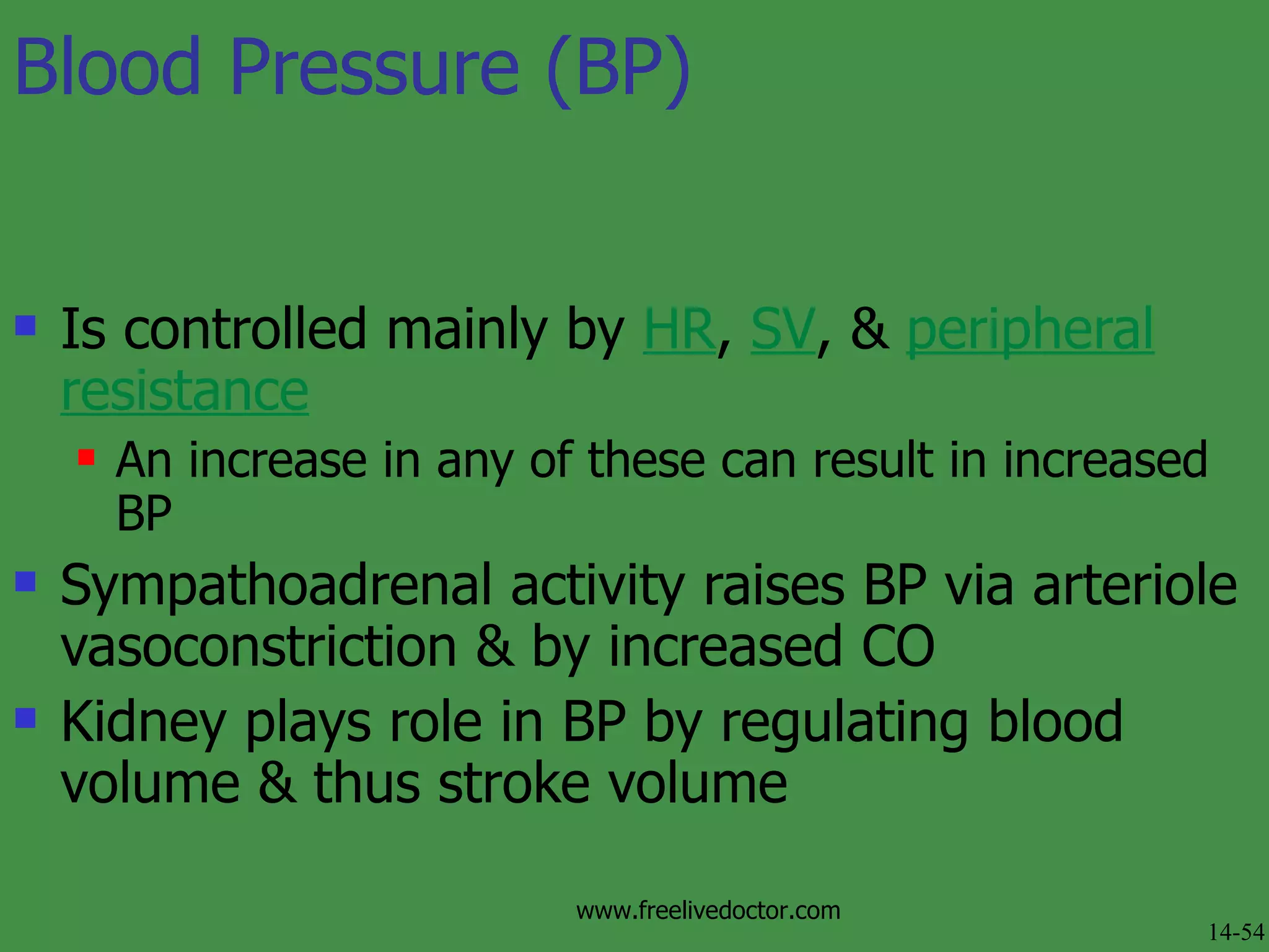 Blood Pressure (BP) Is controlled mainly by  HR ,  SV , &  peripheral resistance An increase in any of these can result in increased BP Sympathoadrenal activity raises BP via arteriole vasoconstriction & by increased CO Kidney plays role in BP by regulating blood volume & thus stroke volume 14-54 www.freelivedoctor.com 