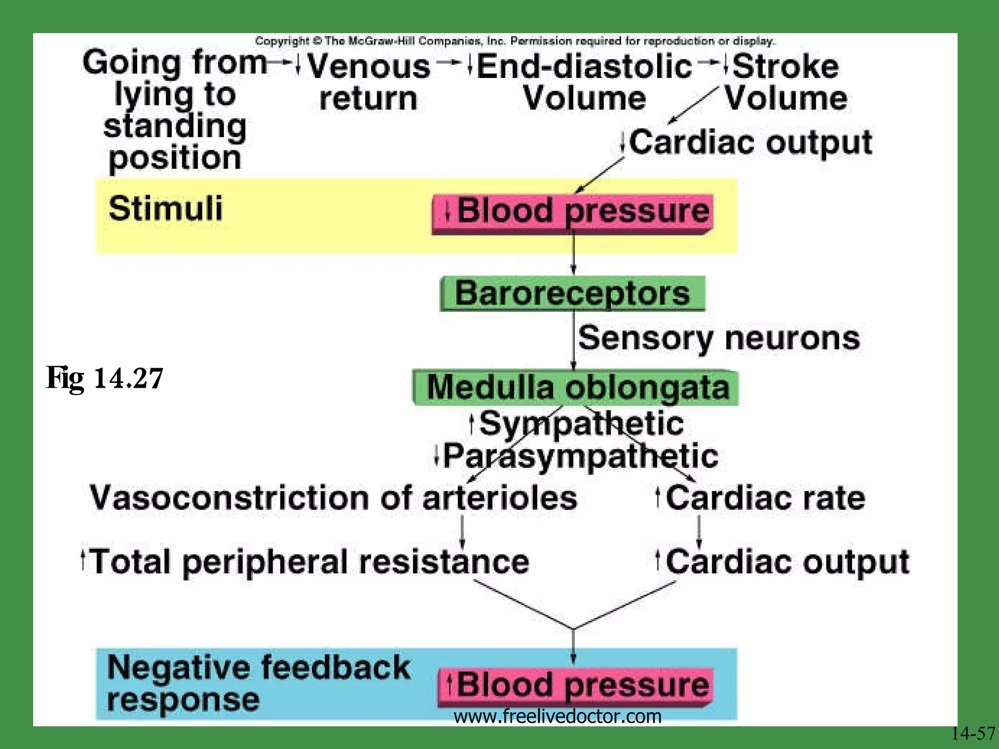 Fig 14.27 14-57 www.freelivedoctor.com 