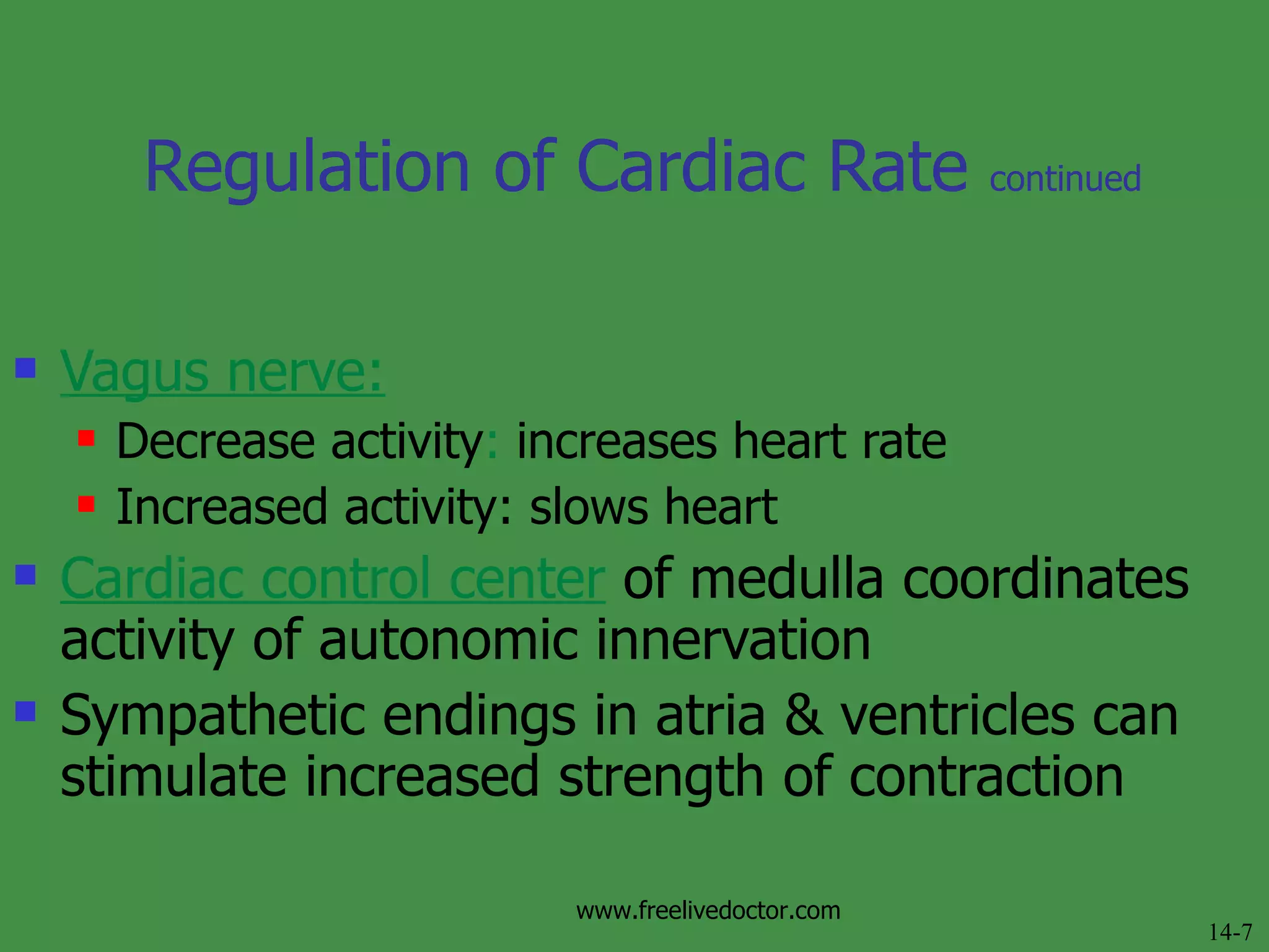 Vagus nerve: Decrease activity :  increases heart rate Increased activity: slows heart Cardiac control center  of medulla coordinates activity of autonomic innervation Sympathetic endings in atria & ventricles can stimulate increased strength of contraction Regulation of Cardiac Rate  continued 14-7 www.freelivedoctor.com 