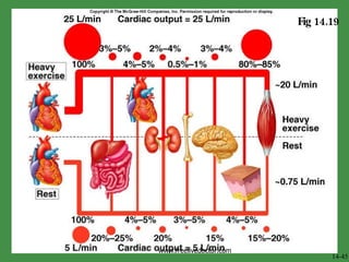 Physiology Of Circulation | PPT