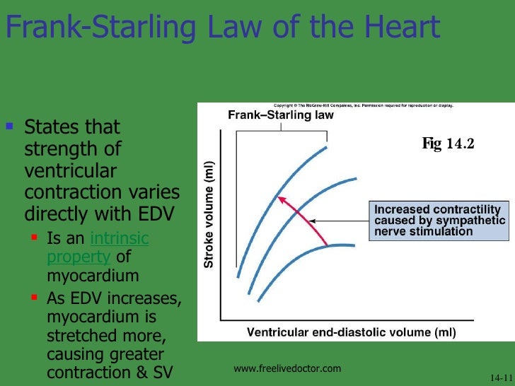 Physiology Of Circulation