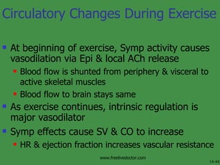 Physiology Of Circulation | PPT