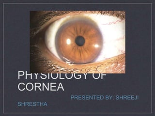 PHYSIOLOGY OF
CORNEA
PRESENTED BY: SHREEJI
SHRESTHA
 