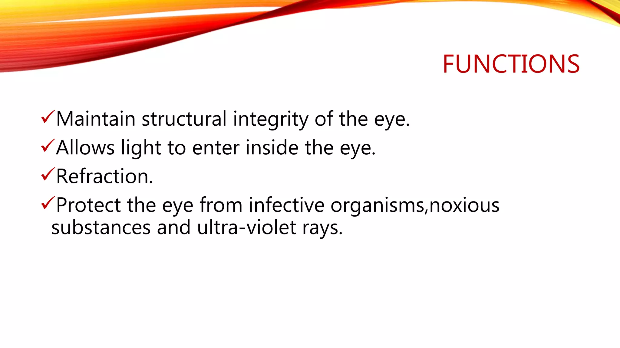 Physiology of cornea | PPTX