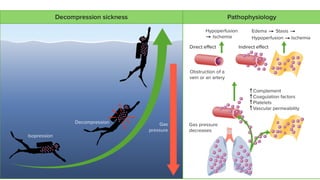 physiology of deep sea driving and baro,metric pressures | PPTX