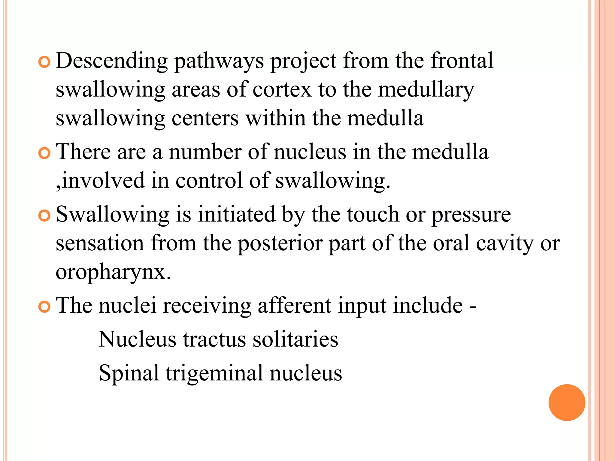  Descending pathways project from the frontal
swallowing areas of cortex to the medullary
swallowing centers within the medulla
 There are a number of nucleus in the medulla
,involved in control of swallowing.
 Swallowing is initiated by the touch or pressure
sensation from the posterior part of the oral cavity or
oropharynx.
 The nuclei receiving afferent input include -
Nucleus tractus solitaries
Spinal trigeminal nucleus
 