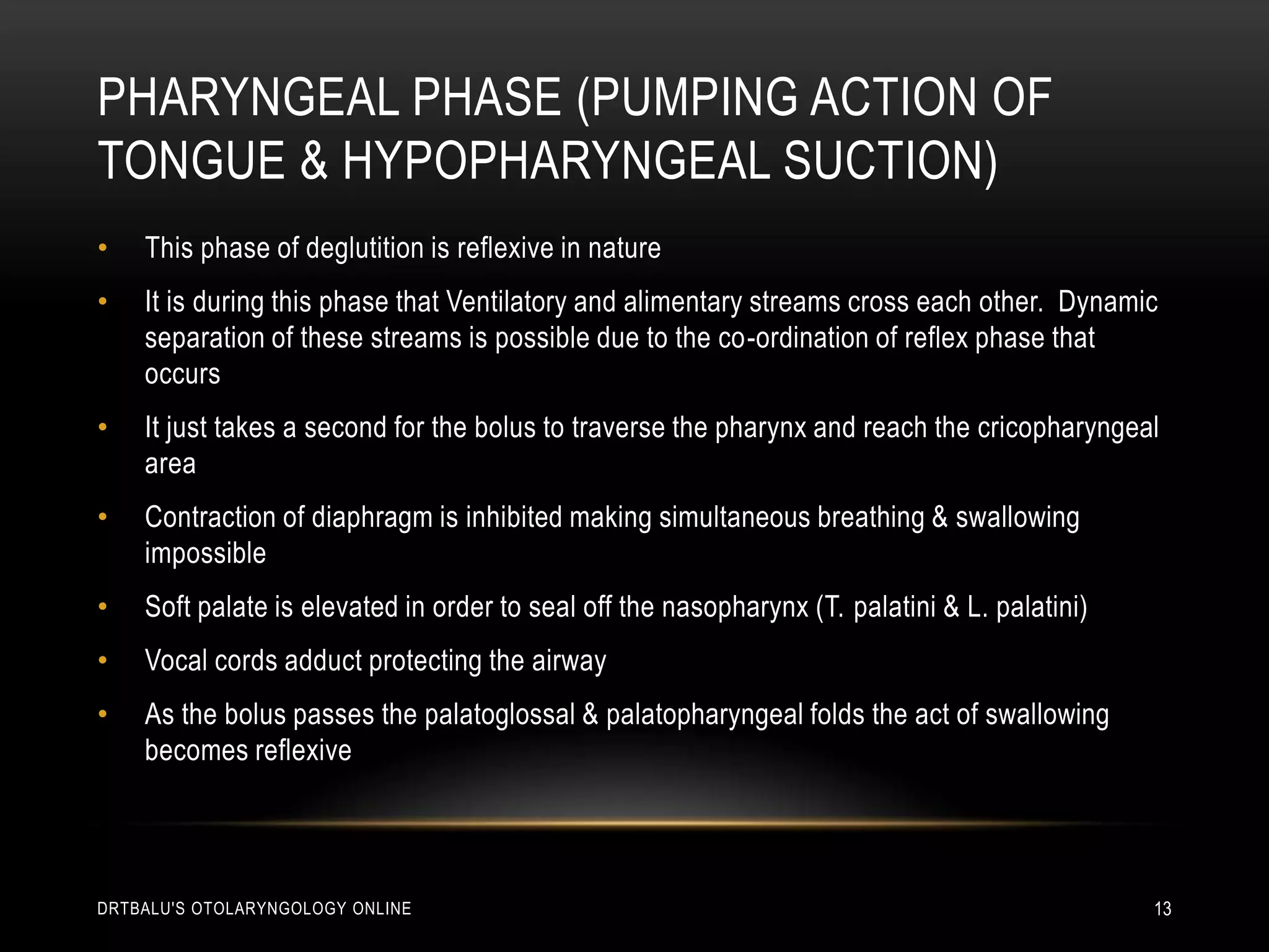 Pharyngeal phase (Pumping action of tongue & hypopharyngeal suction) This phase of deglutition is reflexive in natureIt is during this phase that Ventilatory and alimentary streams cross each other.  Dynamic separation of these streams is possible due to the co-ordination of reflex phase that occursIt just takes a second for the bolus to traverse the pharynx and reach the cricopharyngeal areaContraction of diaphragm is inhibited making simultaneous breathing & swallowing impossibleSoft palate is elevated in order to seal off the nasopharynx (T. palatini & L. palatini)Vocal cords adduct protecting the airwayAs the bolus passes the palatoglossal & palatopharyngeal folds the act of swallowing becomes reflexivedrtbalu's otolaryngology online13