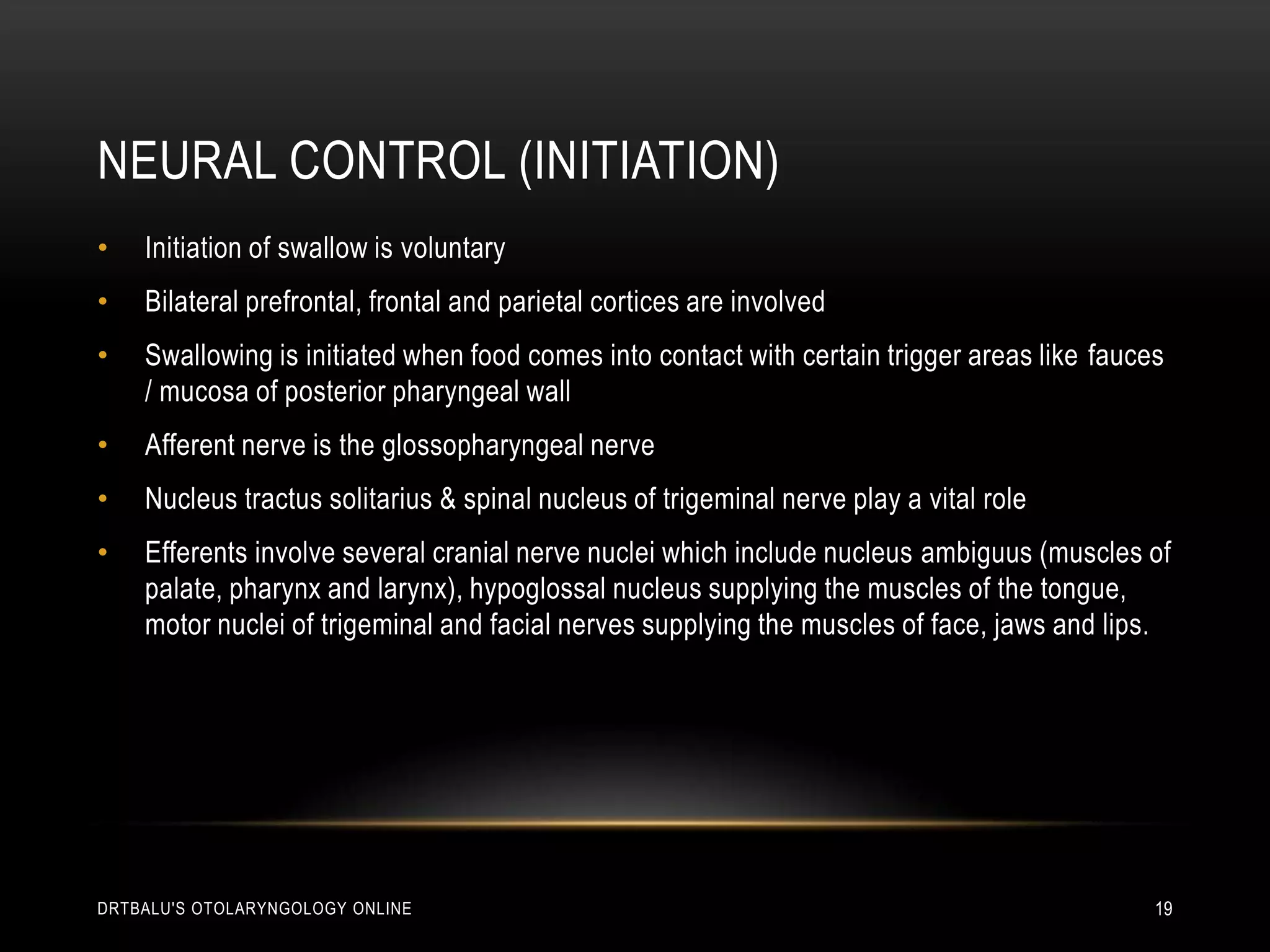 Neural control (initiation)Initiation of swallow is voluntaryBilateral prefrontal, frontal and parietal cortices are involvedSwallowing is initiated when food comes into contact with certain trigger areas like fauces / mucosa of posterior pharyngeal wallAfferent nerve is the glossopharyngeal nerveNucleus tractussolitarius & spinal nucleus of trigeminal nerve play a vital roleEfferents involve several cranial nerve nuclei which include nucleus ambiguus (muscles of palate, pharynx and larynx), hypoglossal nucleus supplying the muscles of the tongue, motor nuclei of trigeminal and facial nerves supplying the muscles of face, jaws and lips.drtbalu's otolaryngology online19