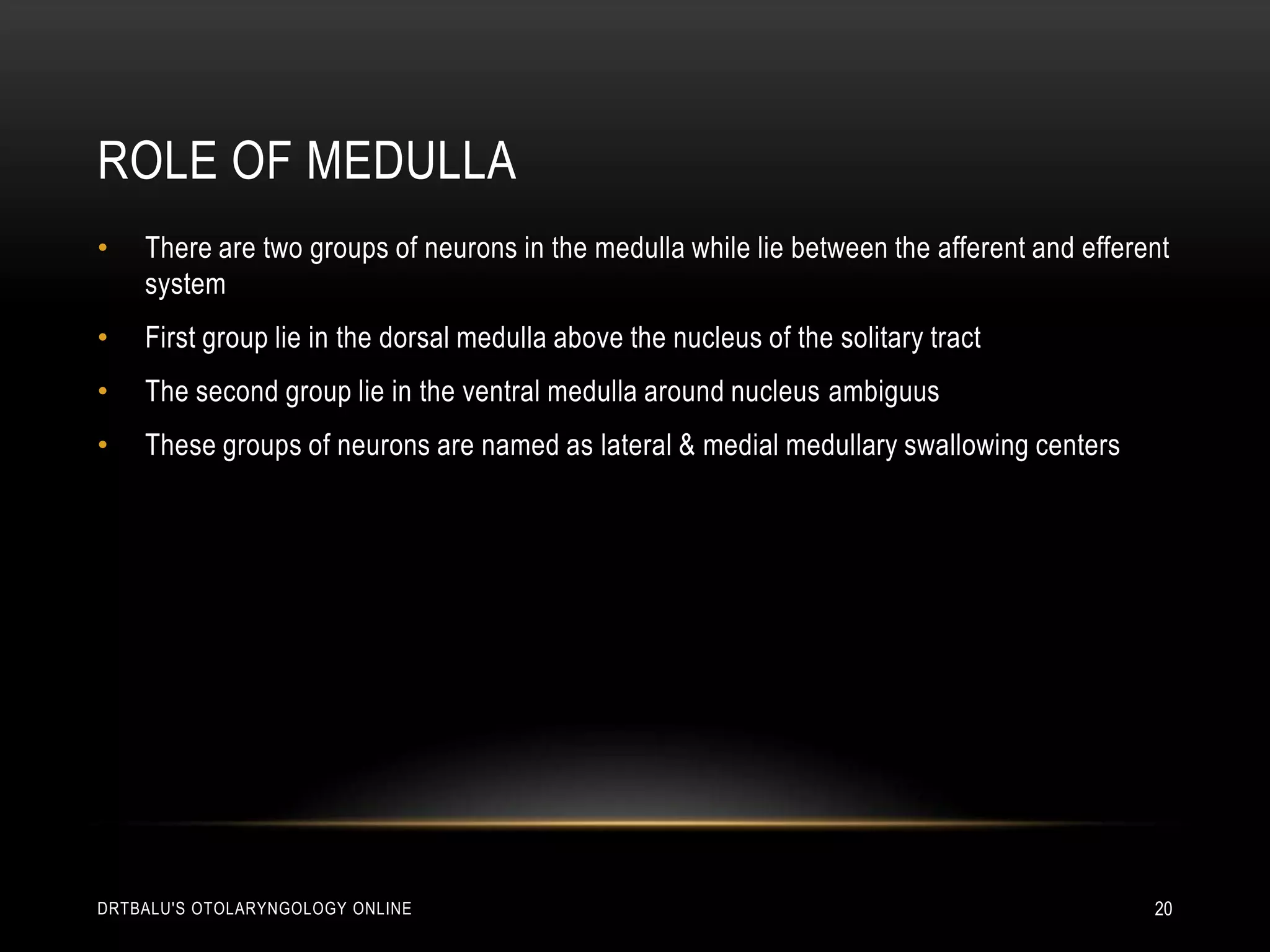 Role of medullaThere are two groups of neurons in the medulla while lie between the afferent and efferent systemFirst group lie in the dorsal medulla above the nucleus of the solitary tractThe second group lie in the ventral medulla around nucleus ambiguusThese groups of neurons are named as lateral & medial medullary swallowing centersdrtbalu's otolaryngology online20