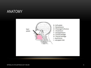 Physiology Of Deglutition Pptx