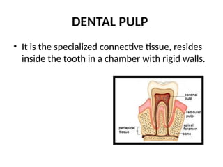physiology of dental pulp & periapical tissues-1.pptx