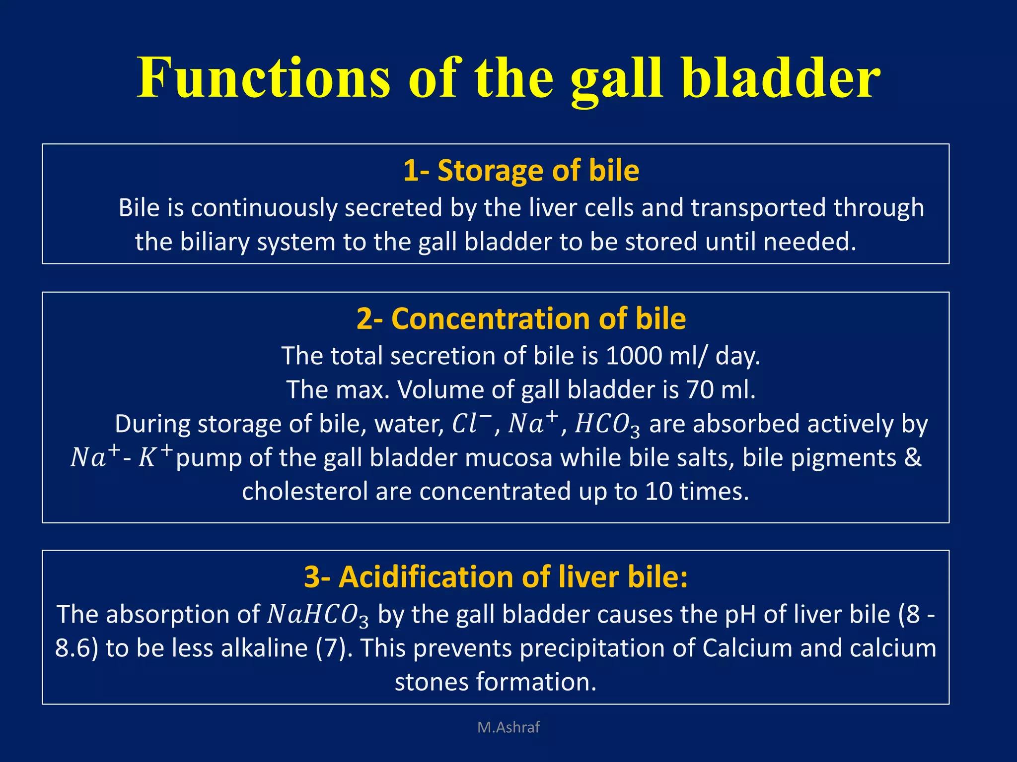Physiology of digestion | PDF